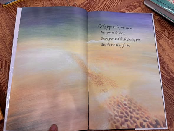 SONG OF THE CAMELS: A CHRISTMAS POEM image 4