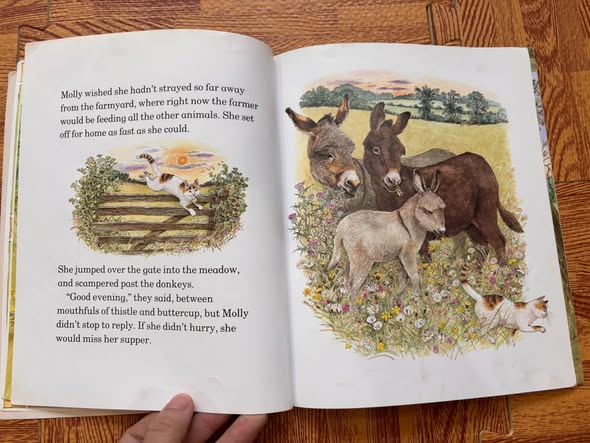 MOLLY'S SUPPER - WINDY EDGE FARM (JILL DOW)   — ảnh 3