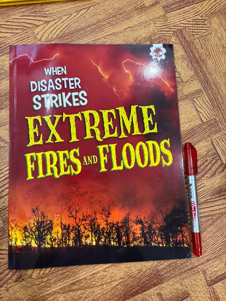 WHEN DISASTER STRIKES: EXTREME FIRES AND FLOODS — ảnh 1