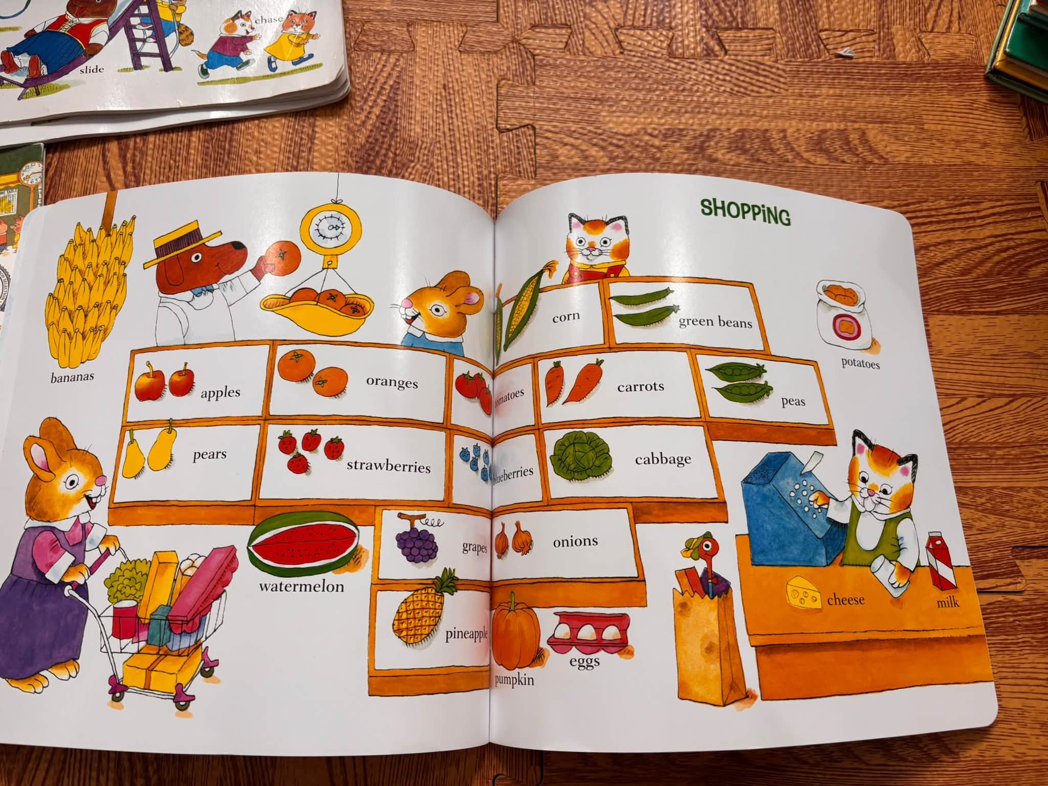 RICHARD SCARRY'S 100 FIRST WORDS (RICHARD SCARRY)   image 5