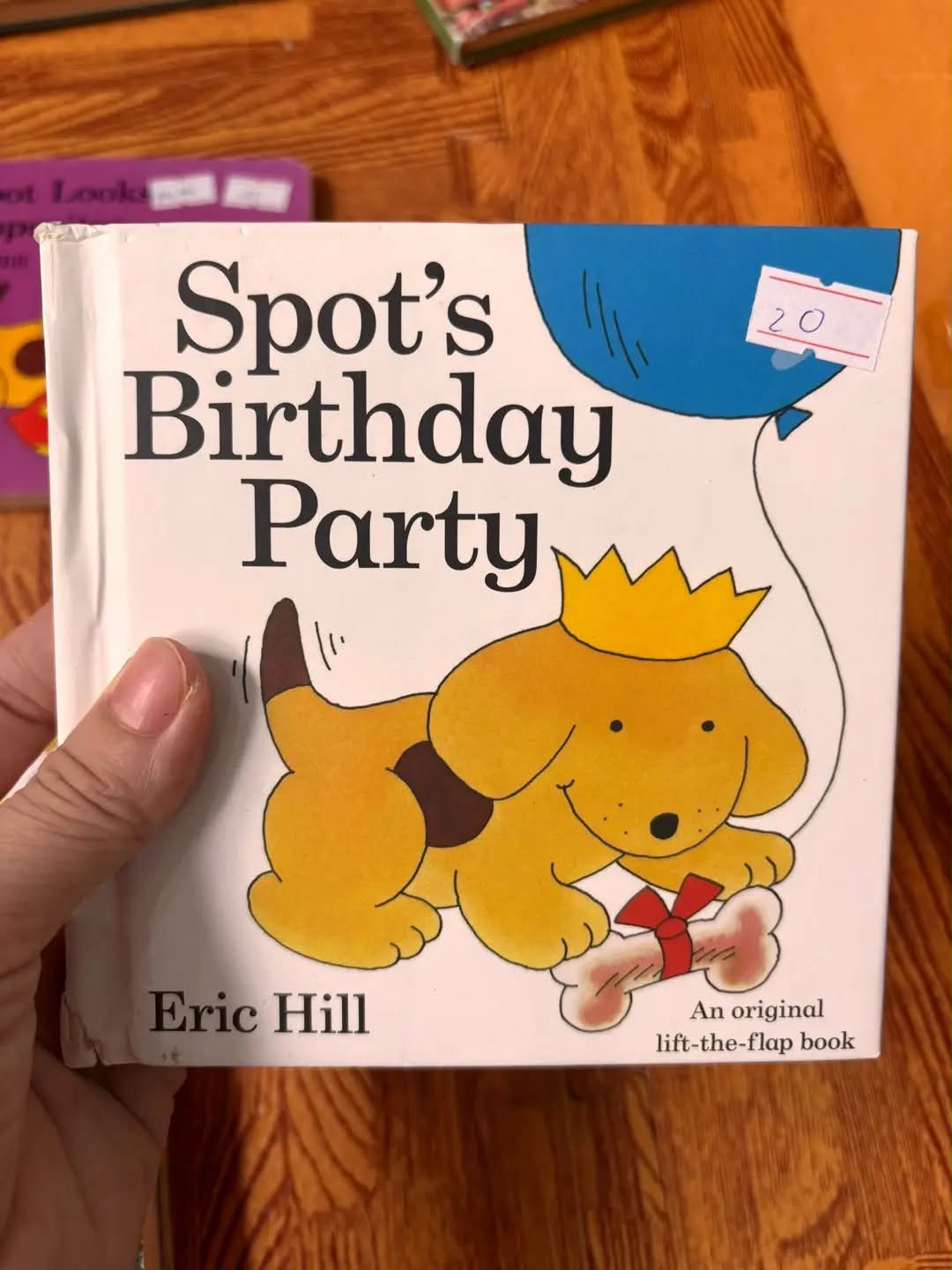 Spot's Birthday Party