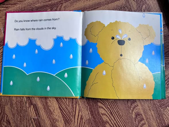 RAIN (BEAR FACTS) image 5