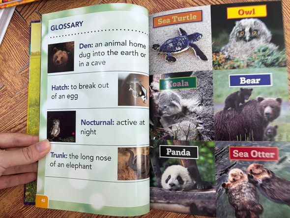 SMITHSONIAN READERS: READ WITH ME! (PRE-LEVEL 1) — ảnh 4