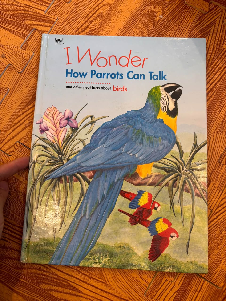 I WONDER HOW PARROTS CAN TALK AND OTHER NEAT FACTS ABOUT BIRDS