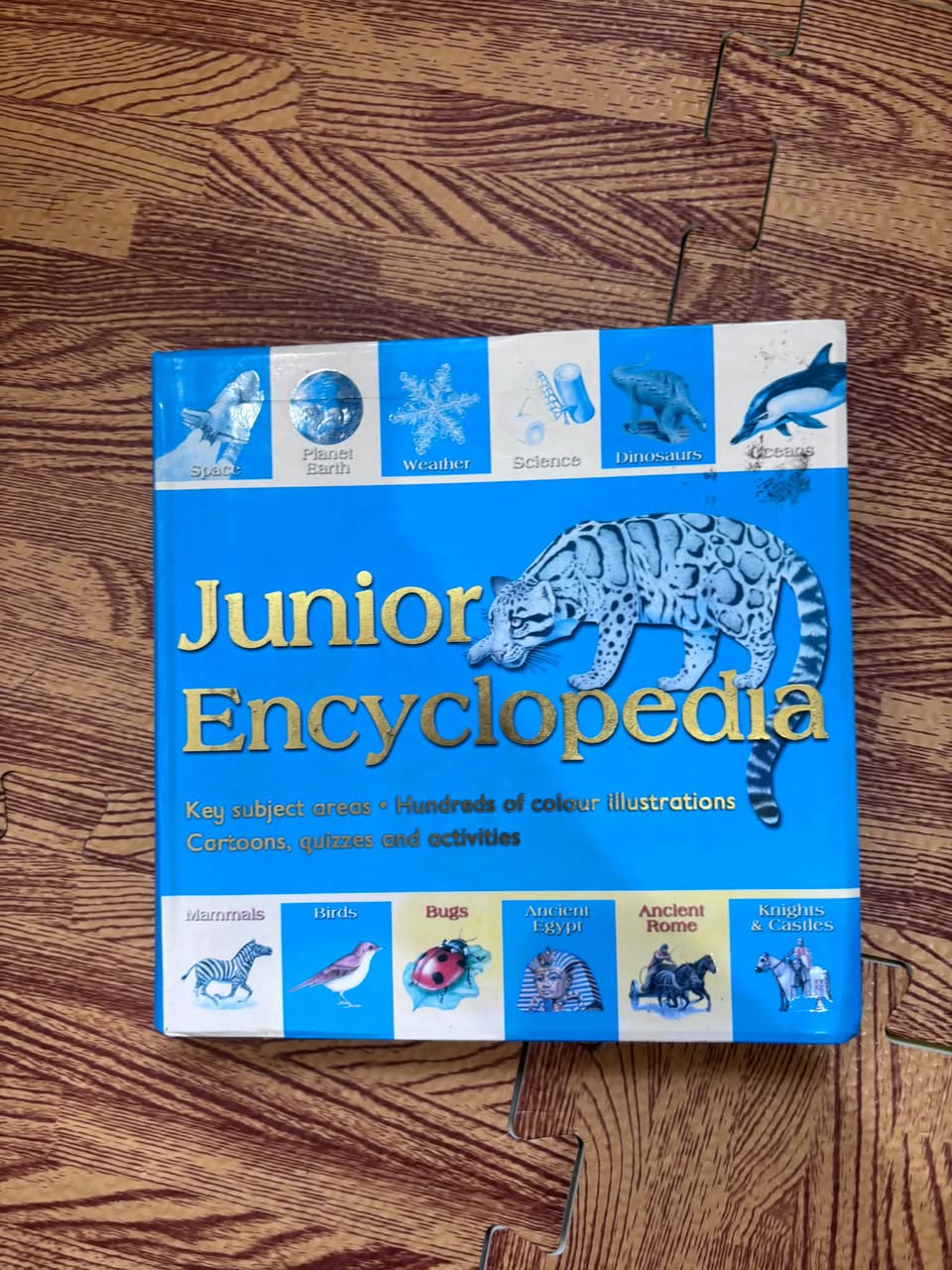 JUNIOR ENCYCLOPEDIA