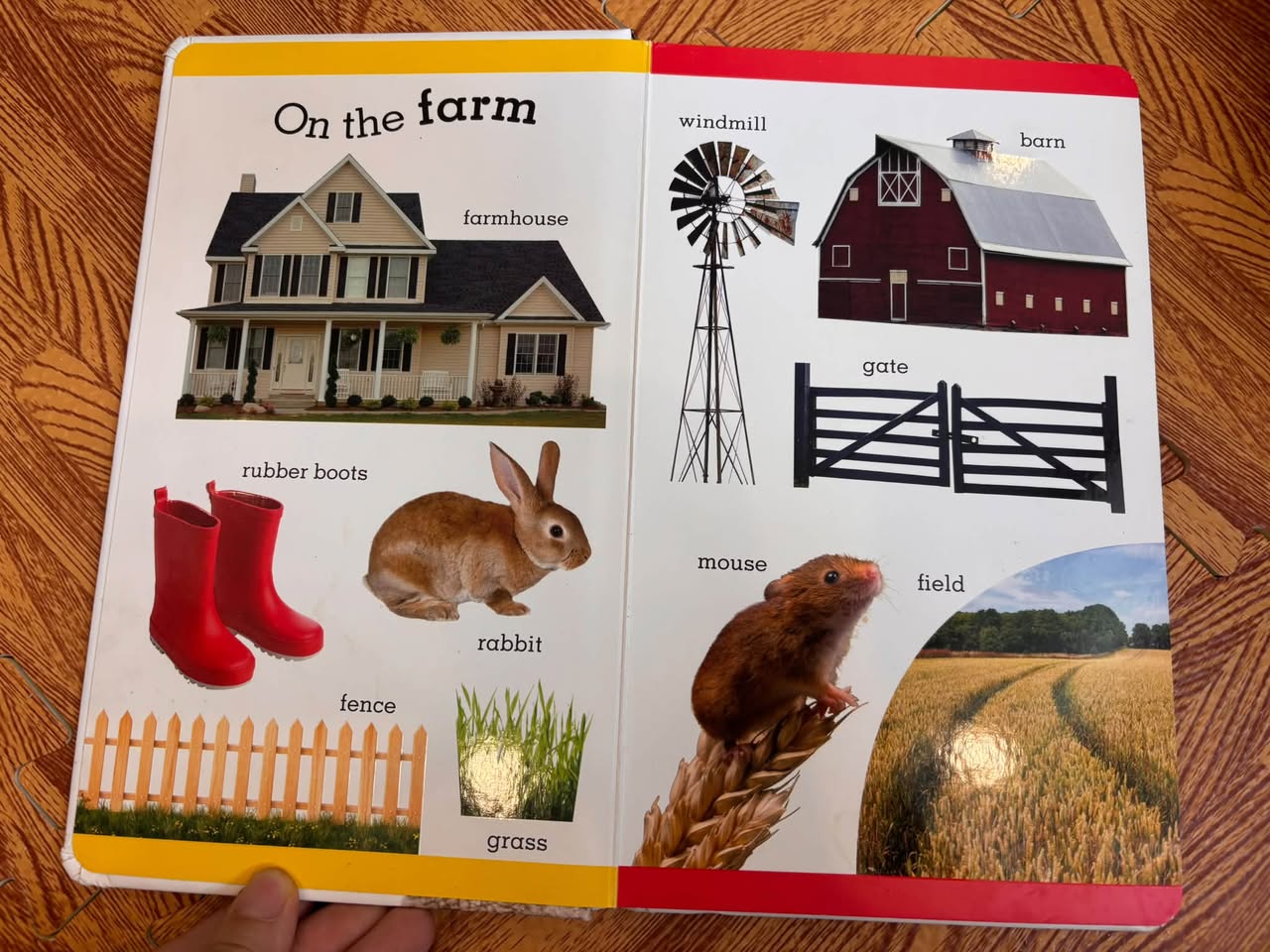 100 FIRST FARM WORDS — ảnh 2