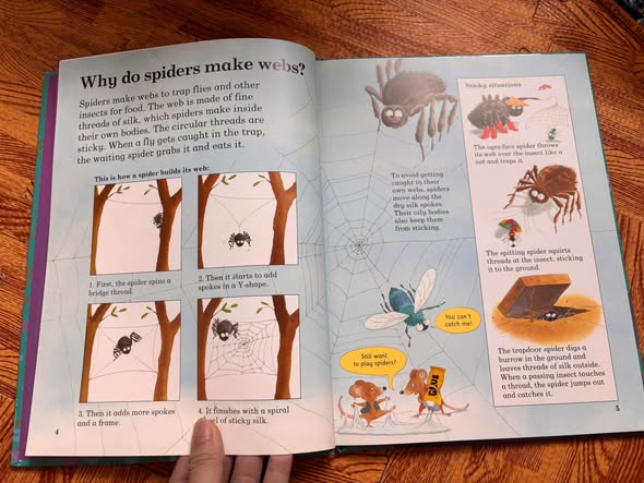 TELL ME WHY: WHERE DO ANTS LIVE? — QUESTIONS KIDS ASK ABOUT BACKYARD NATURE   — ảnh 4