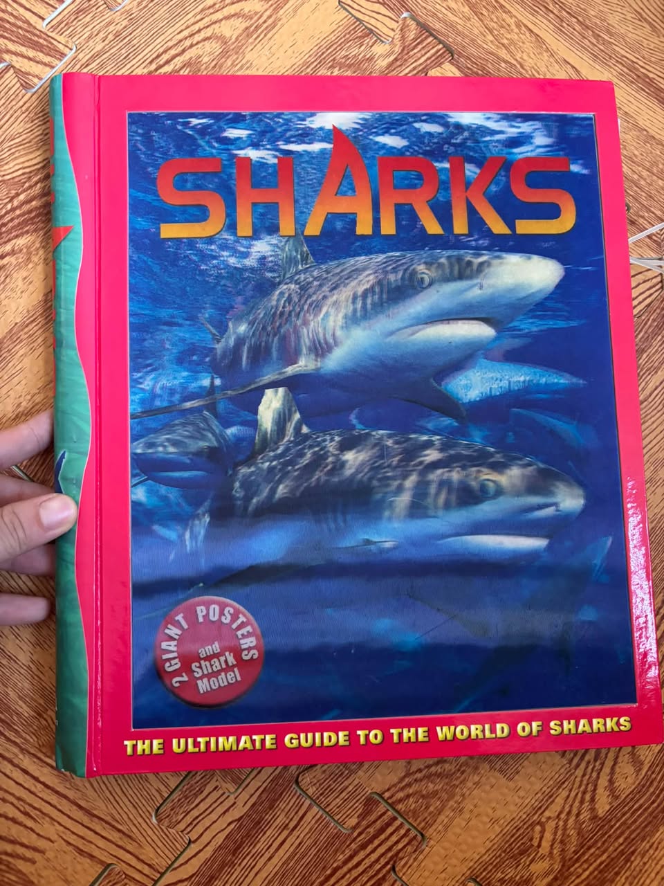 SHARKS: THE ULTIMATE GUIDE TO THE WORLD OF SHARKS — ảnh 1