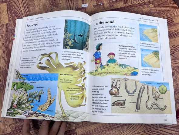 KINGFISHER CHILD'S WORLD ENCYCLOPEDIA — ảnh 3
