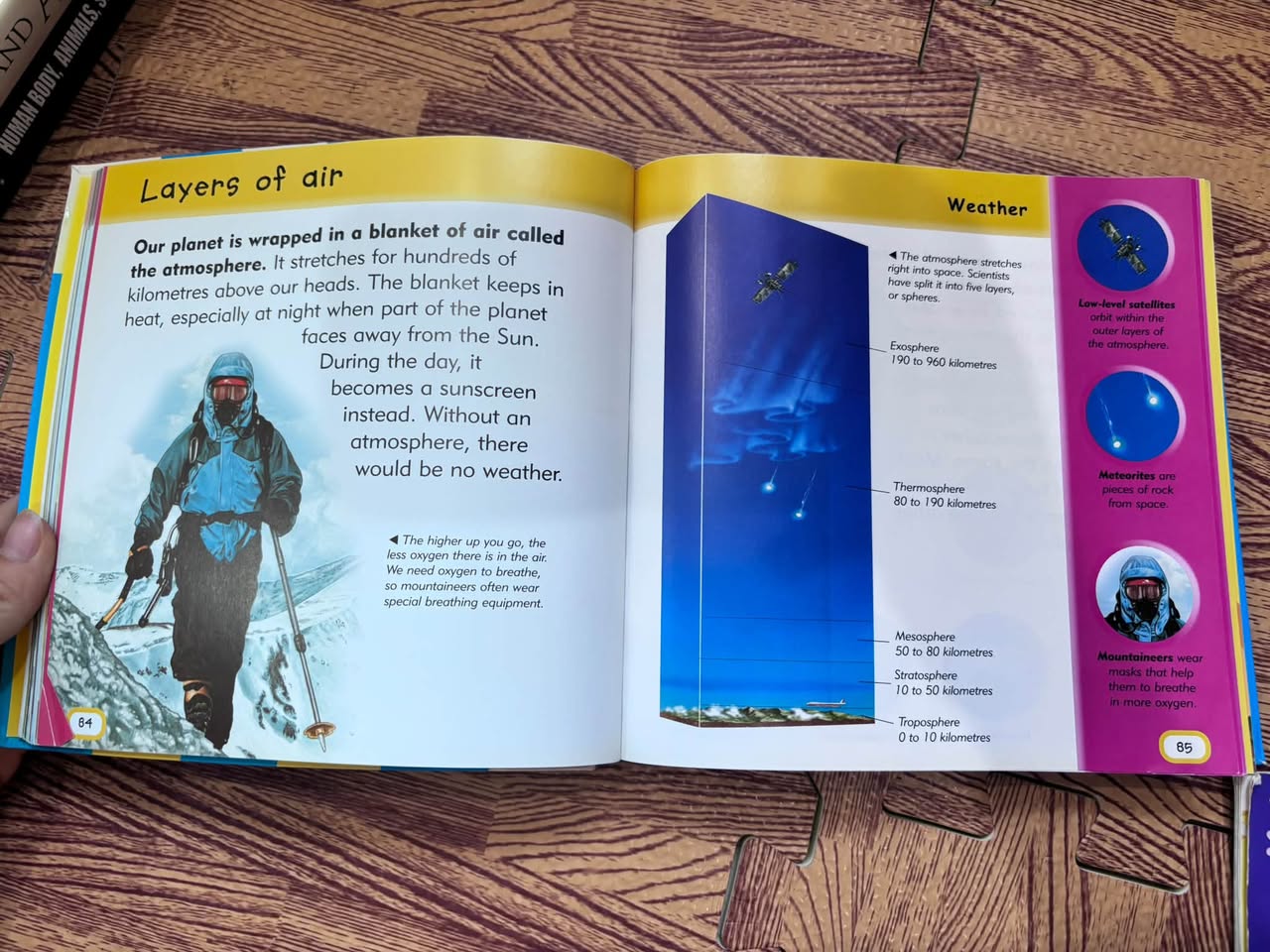 JUNIOR ENCYCLOPEDIA — ảnh 2