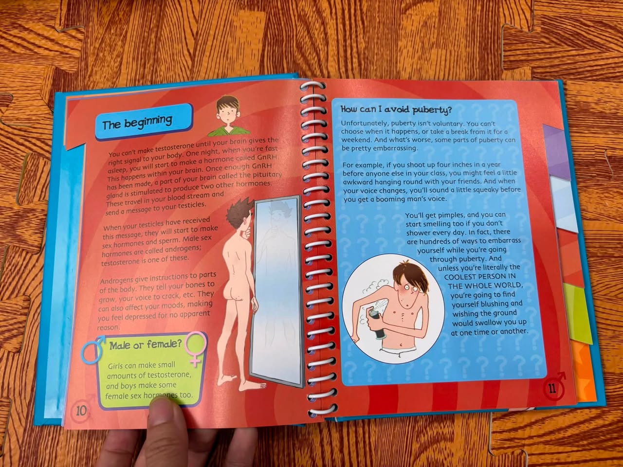 JUST FOR BOYS: A BOOK ABOUT GROWING UP — ảnh 3