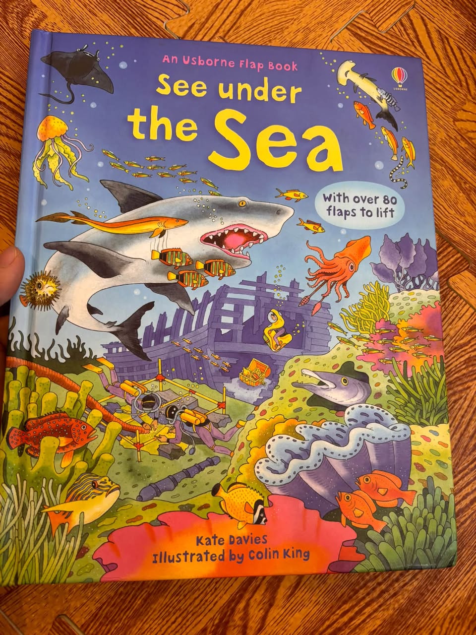 SEE UNDER THE SEA