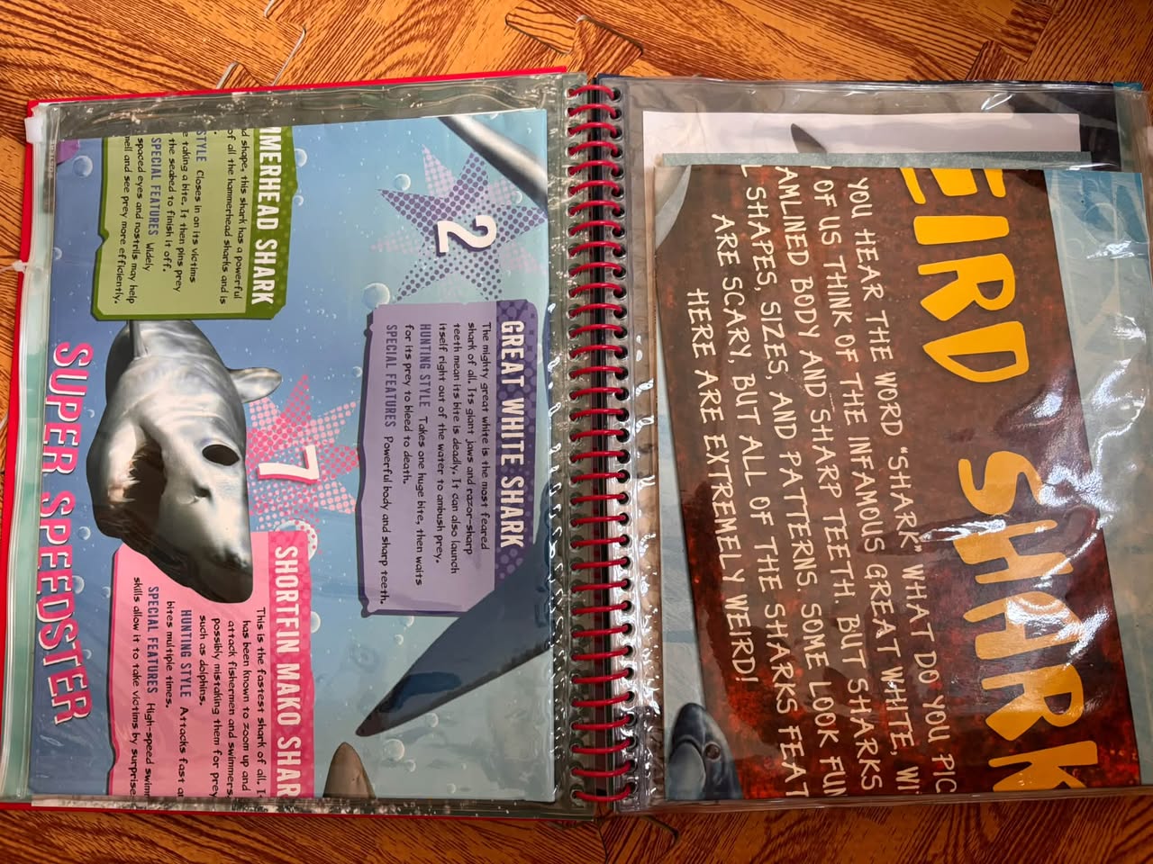 SHARKS: THE ULTIMATE GUIDE TO THE WORLD OF SHARKS — ảnh 3