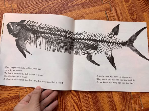 FOSSILS TELL OF LONG AGO (ALIKI)   — ảnh 3