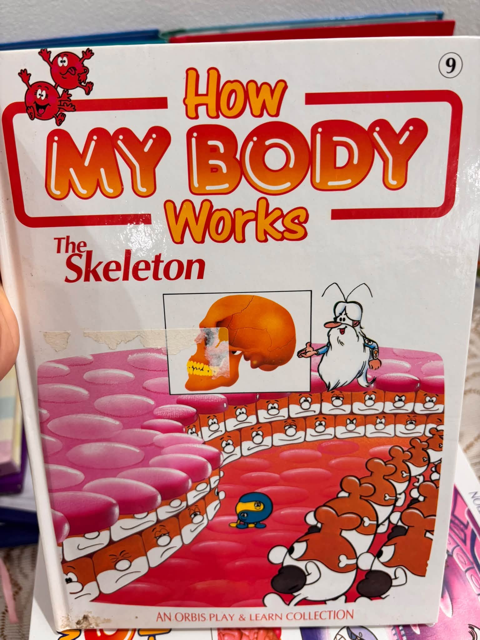SERIES BÁCH KHOA SINH HỌC: HOW MY BODY WORKS  image 9