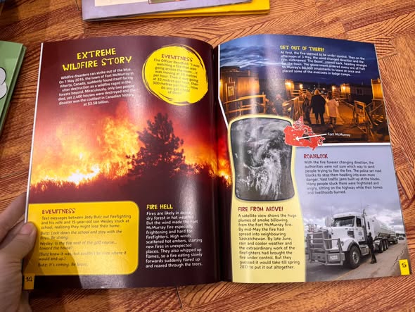 WHEN DISASTER STRIKES: EXTREME FIRES AND FLOODS — ảnh 4