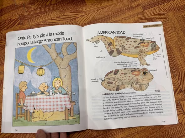 FROGS, TOADS, LIZARDS, AND SALAMANDERS  — ảnh 4