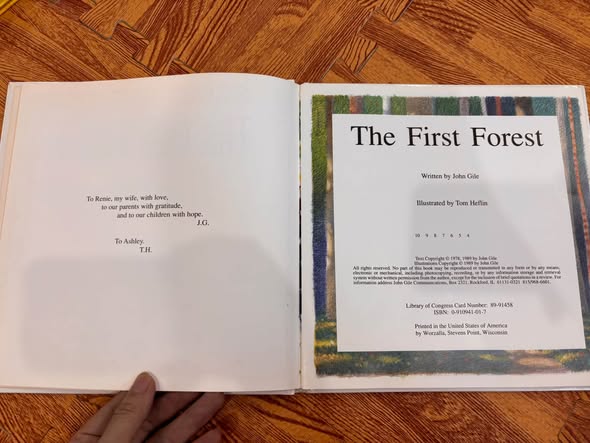 THE FIRST FOREST  image 7