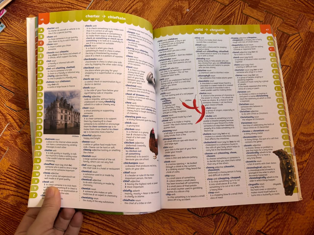 OXFORD ILLUSTRATED CHILDREN'S DICTIONARY & THESAURUS (PERFECT FOR FAMILY REFERENCE) — ảnh 3