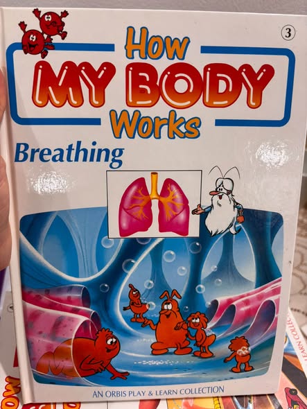 SERIES BÁCH KHOA SINH HỌC: HOW MY BODY WORKS  image 2
