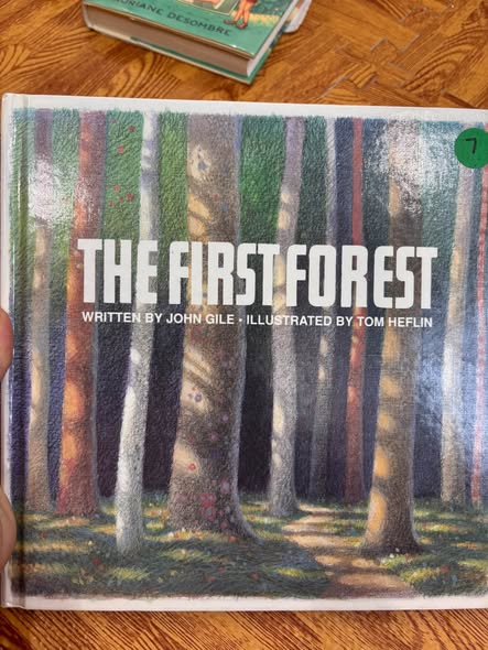 THE FIRST FOREST  image 1
