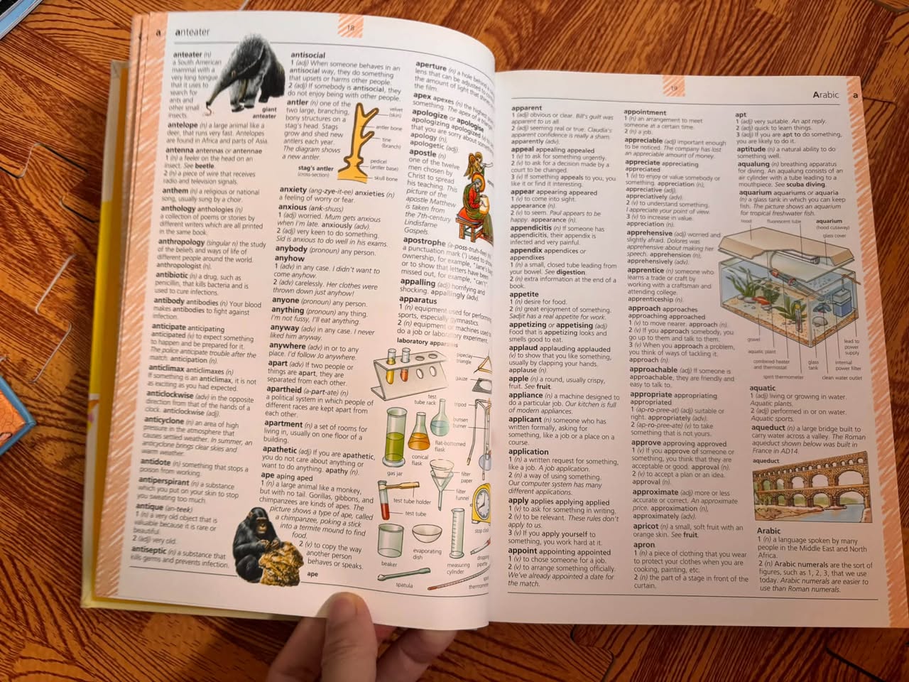 THE USBORNE ILLUSTRATED ENGLISH DICTIONARY (DICTIONARY 4 LIFE) — ảnh 5