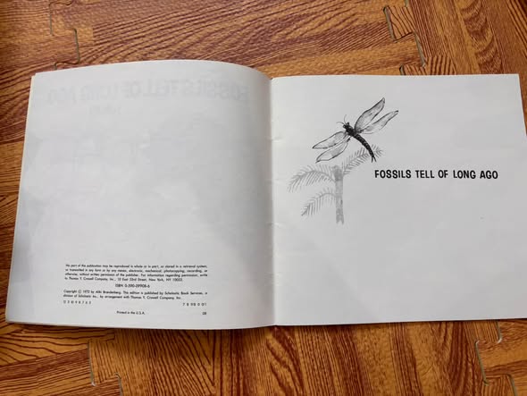 FOSSILS TELL OF LONG AGO (ALIKI)   — ảnh 4