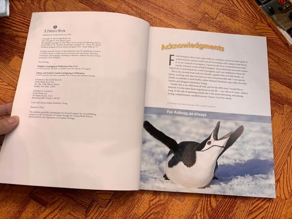 THE WORLD'S COOLEST BIRDS: PENGUINS! — ảnh 5