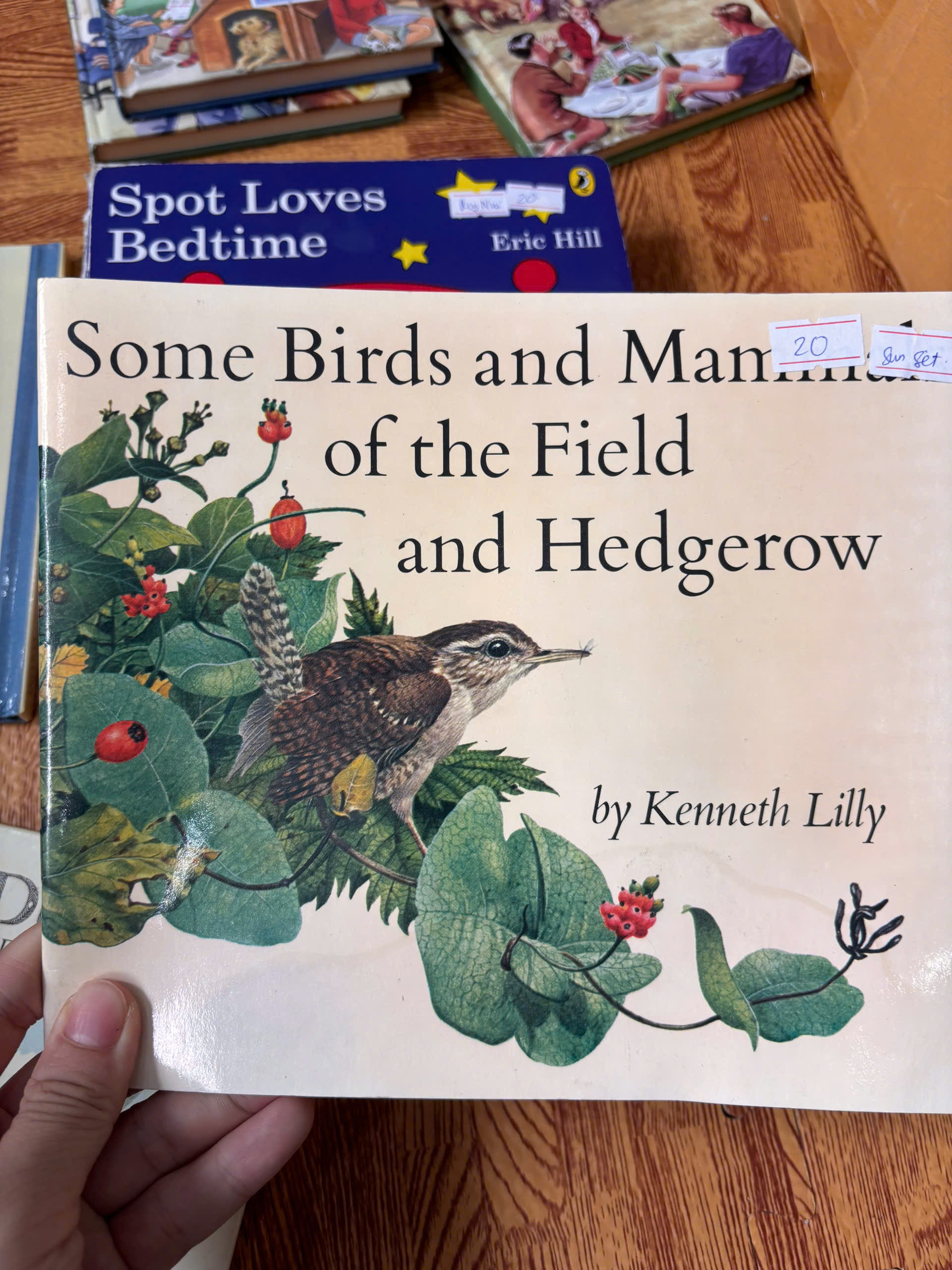 Some Birds and Mammals of the Field and Hedgerow