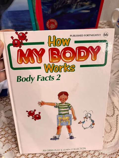 How My Body Works Body Facts 2