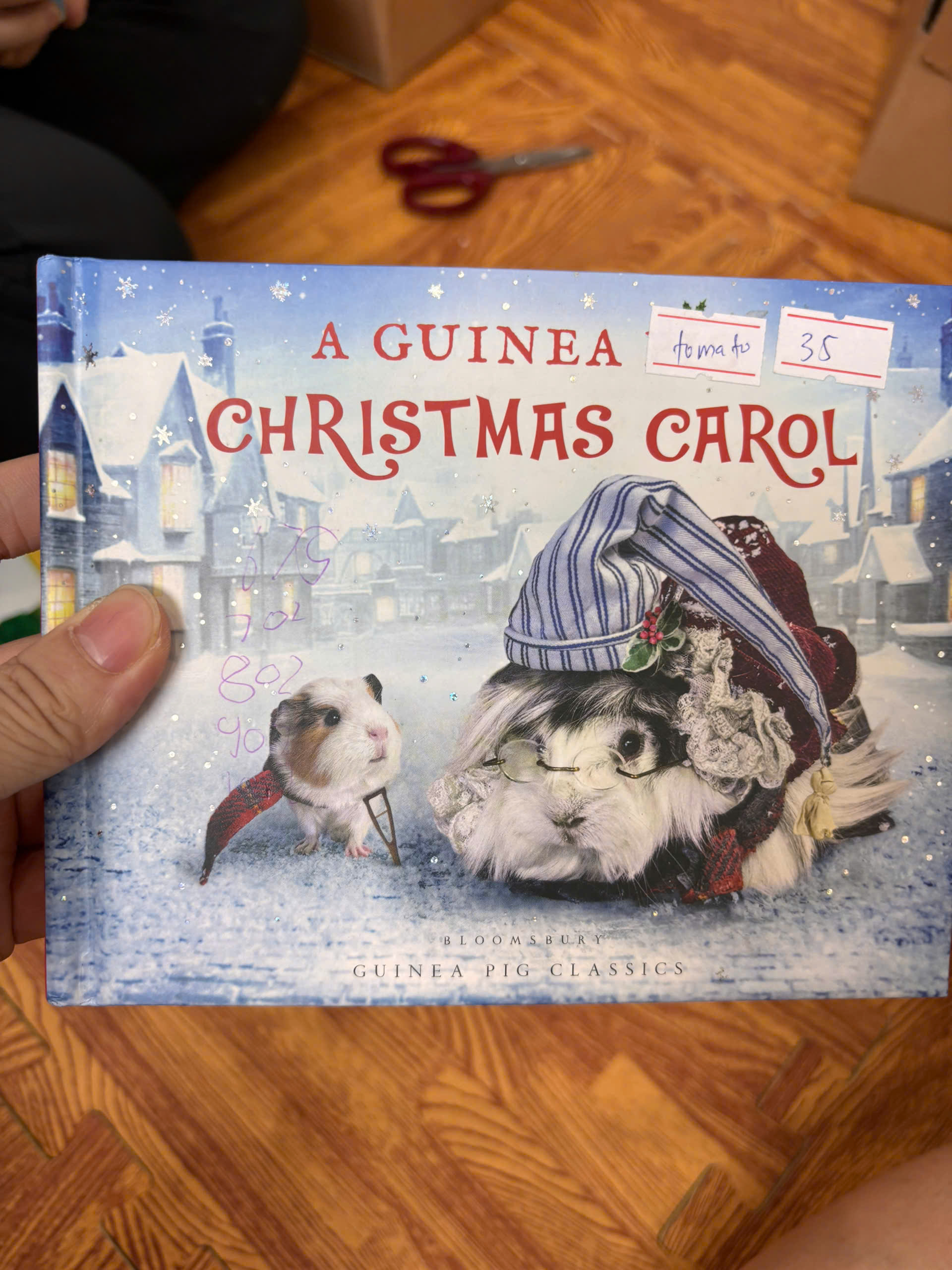 A Guinea Pig Christmas Carol 