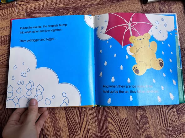 RAIN (BEAR FACTS) image 6