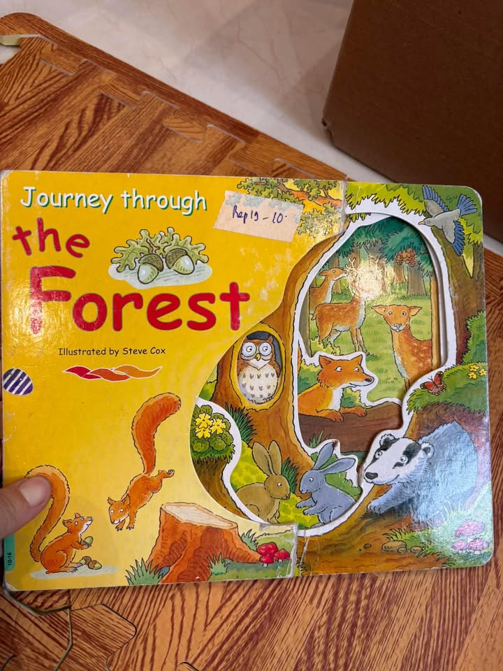 Journey through the Forest