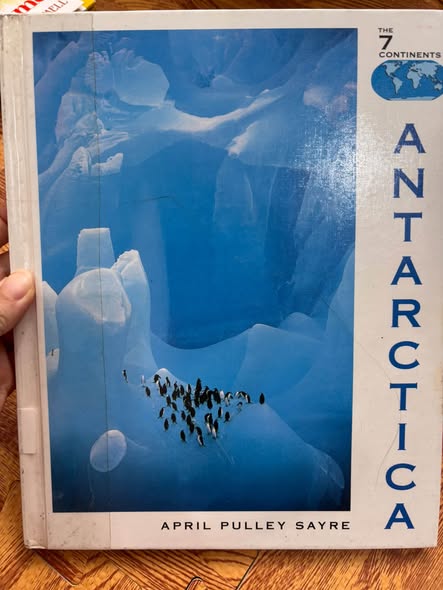 THE 7 CONTINENTS: ANTARCTICA  — ảnh 1
