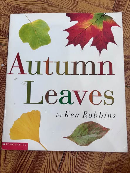 AUTUMN LEAVES — ảnh 1