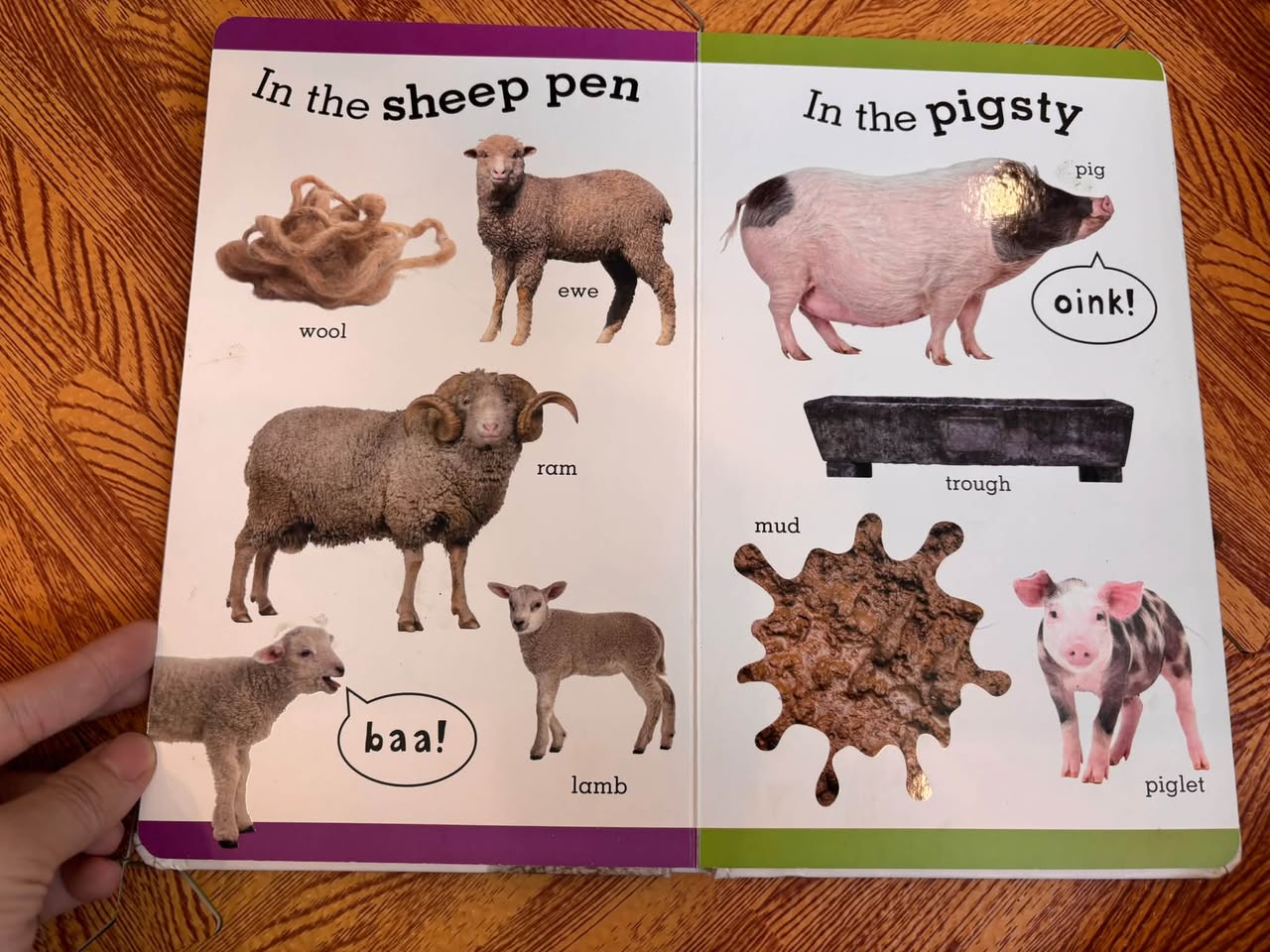 100 FIRST FARM WORDS — ảnh 5