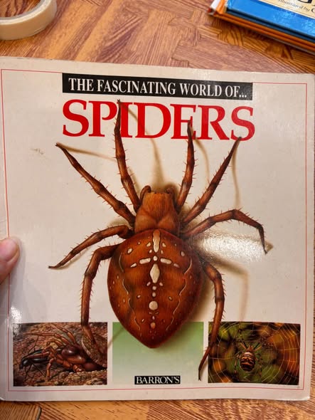 THE FASCINATING WORLD OF... SPIDERS