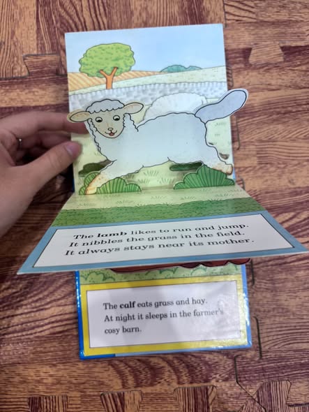 MY STAND UP BABY ANIMALS — ảnh 3