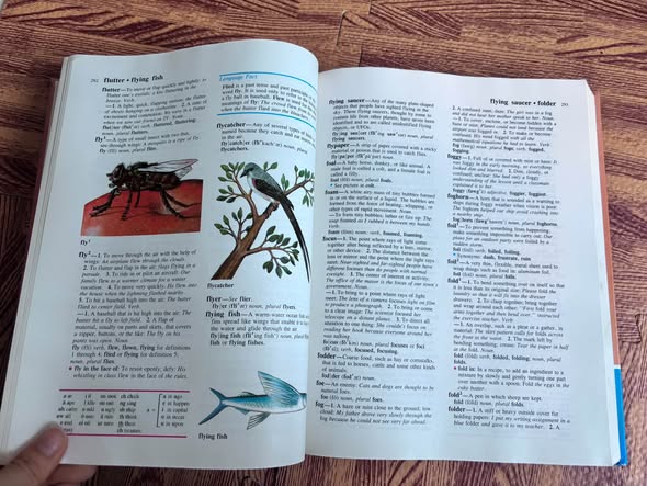 CHILDCRAFT DICTIONARY image 3