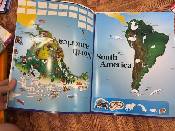 MY INCREDIBLE STICKER ATLAS: THE WORLD, ANIMALS, SPACE & DINOSAURS — ảnh 2