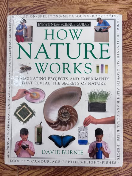 EYEWITNESS SCIENCE GUIDES: HOW NATURE WORKS — ảnh 1