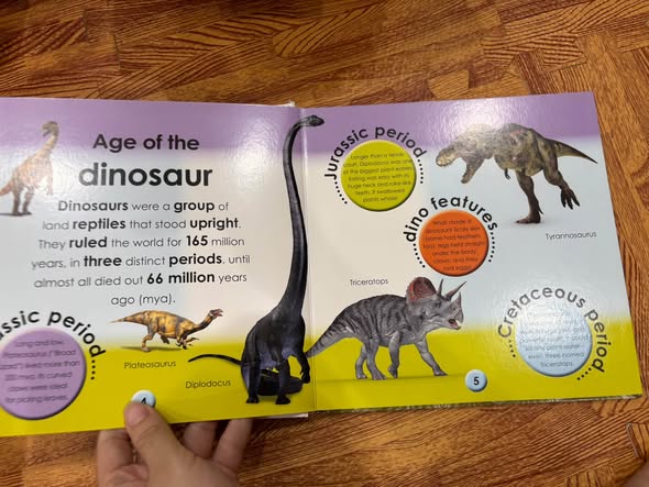 DK FIRST FACTS: DINOSAURS — START A LIFETIME OF LEARNING  1 — ảnh 5