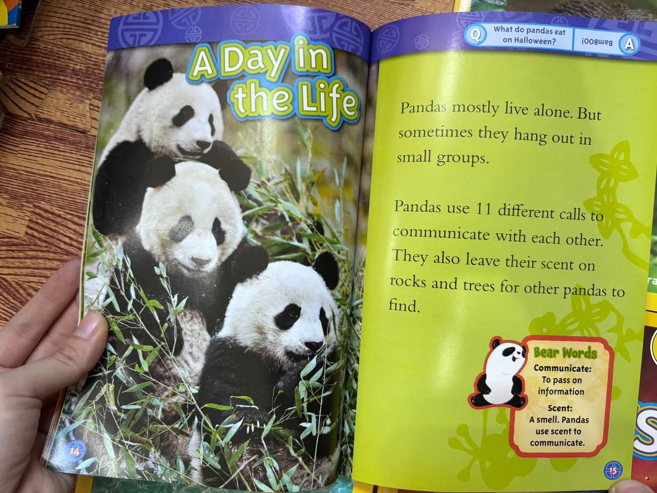 NATIONAL GEOGRAPHIC KIDS READERS (SET 4 CUỐN) — ảnh 3
