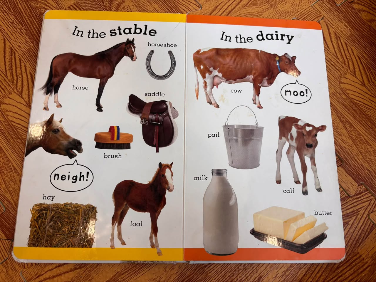 100 FIRST FARM WORDS — ảnh 4