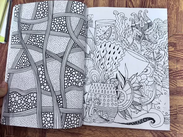 ADULT COLOURING BOOK (160 COLOURING PAGES) — ảnh 3