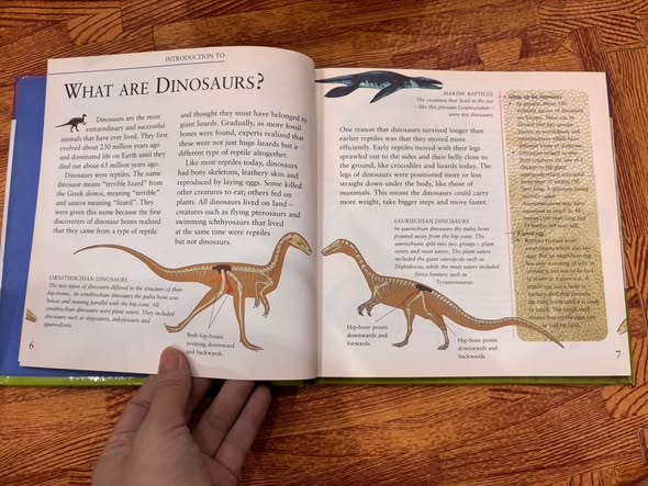 FANTASTIC FACTS ABOUT DINOSAURS — ảnh 4