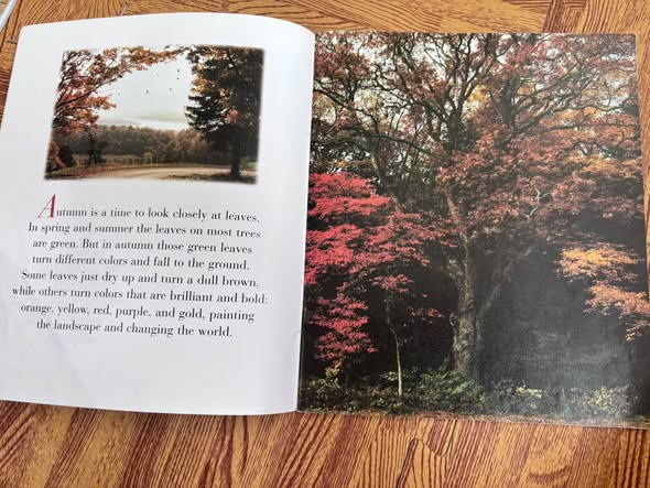 AUTUMN LEAVES — ảnh 2