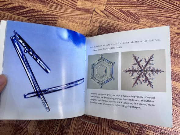 THE LITTLE BOOK OF SNOWFLAKES image 4