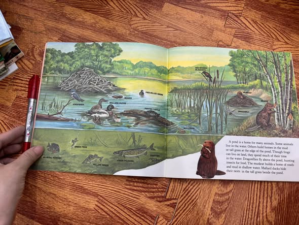 WHO LIVES HERE? — ANIMALS OF THE POND, FOREST, PRAIRIE, DESERT, MOUNTAINS, MEADOW, AND SWAMP   — ảnh 3