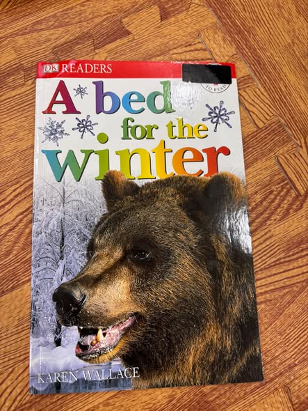 A BED FOR THE WINTER  — ảnh 1